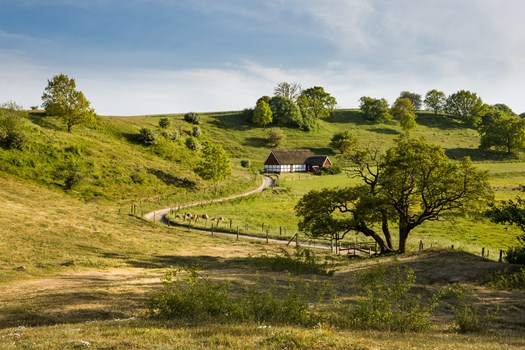Nätverket Skåne Camping